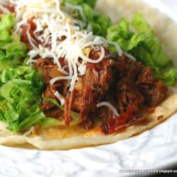 Beef Carnitas