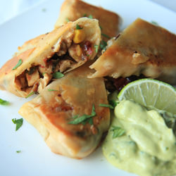 Southwest Eggrolls with Avocado