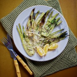 Grilled Fennel Bulbs