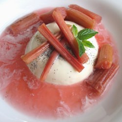 Panna Cotta with Rhubarb