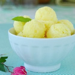Fresh Pineapple Sorbet