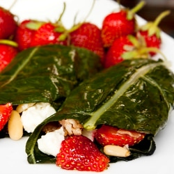 Dinosaur Kale Wraps