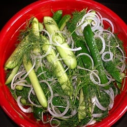 Easy Refrigerator Pickles