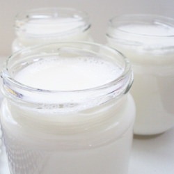 Yogurt