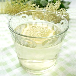 Elderflower Cordial