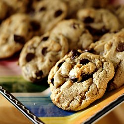 The Chewy