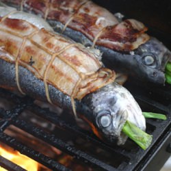 Bacon Trout