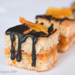 Apricot, Hazelnut Squares