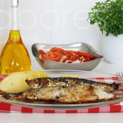 Grilled Sardines