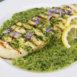 Grilled Halibut with Chimichurri