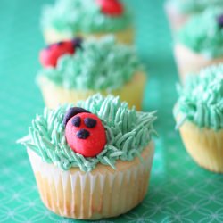 Ladybug Cupcakes