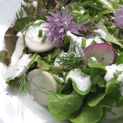 Buttermilk Dill Dressing