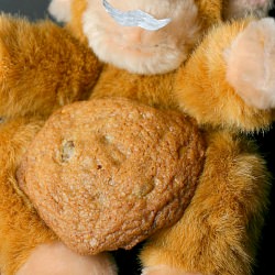 Toffee Chocolate Chip Cookies