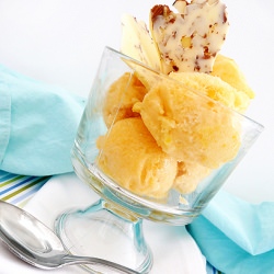 Creamy Vanilla Apricot Sorbet