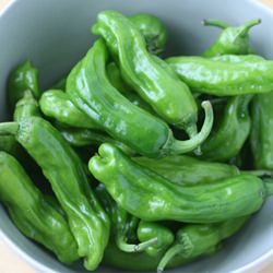 Japanese Shishito Peppers