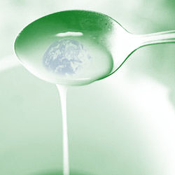 Food Sustainability