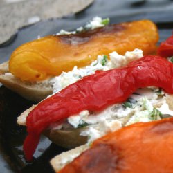 Panini