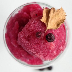 Indian Berry Sorbet