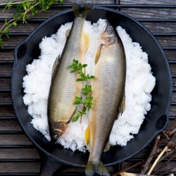 Salt Crusted Fish on the BBQ