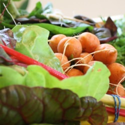 Being a Revolutionist by Eating