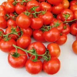 Farmer’s Market
