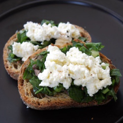 Crostini Salsa Verde & Ricotta