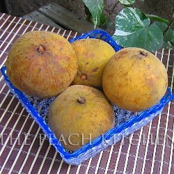 Santol Juice / Wild Mangosteen Juice