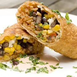 Fiesta Egg Rolls