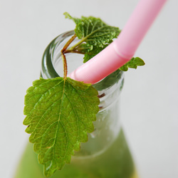 Lemon Balm and Verbena Mojito