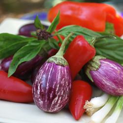 Red Pepper and Eggplant Salad