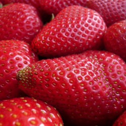 Strawberries!