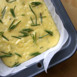 Lemon Rosemary Olive Oil Cake