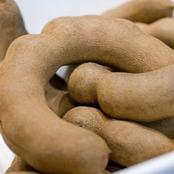Tamarind