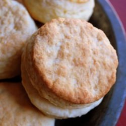 No Rise Biscuits