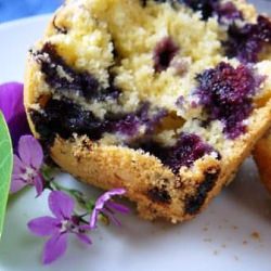 Gluten-free, Blueberry-corn Muffins