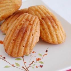 Almond Praliné Madeleines