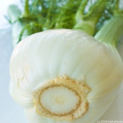 Fennel Discovery