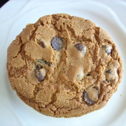 Chocolate Chip Cookie