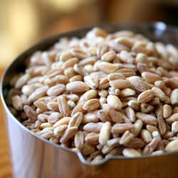 How to Cook Farro