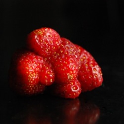 Mutant Strawberry