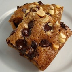 Chocolate Chip and Peanut Blondies