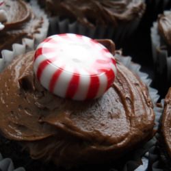 Mint Chocolate Cupcakes