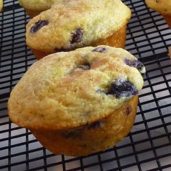 Blueberry-Lemon Muffins
