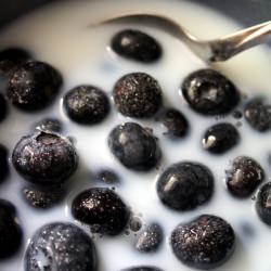Foods of Summer