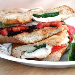 Red, White & Green Pressed Sandwich