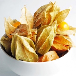 Ground Cherries