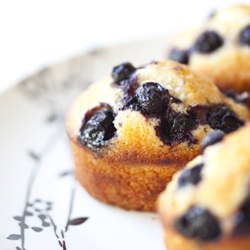 Blueberry and Coconut Friands
