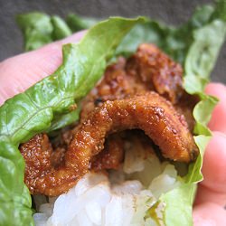 Korean Spicy Pork Bulgogi