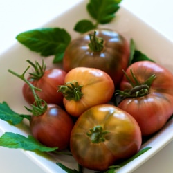 Fresh Tomato Ketchup