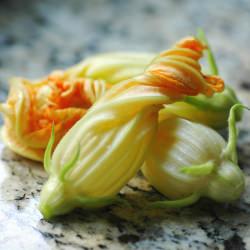 Deep-fried Zucchini Blossoms